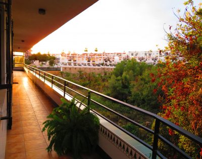 HAWAII-H33 … Terrace facing the southern seafront.