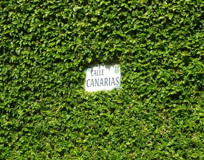 HAWAII-H33 … Terrace facing the southern seafront.