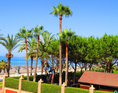 COSTAORO-1BA … Feet on the beach