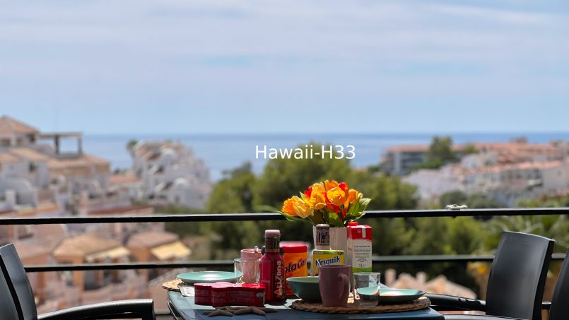 HAWAII-H33 Apartment 2 bedrooms (2024)
